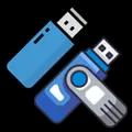 ca_flesmemorije.webp